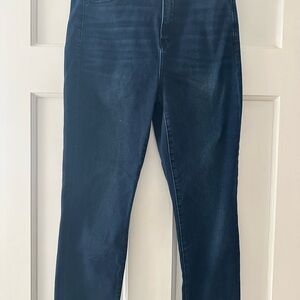 American Eagle Outfitters Dark Blue Skinny